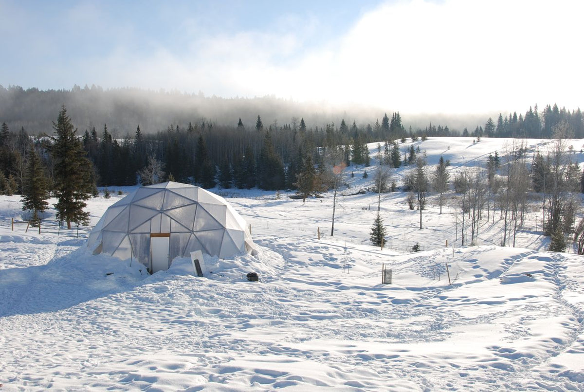 Growing Dome in deep snow at the edge of a forest
