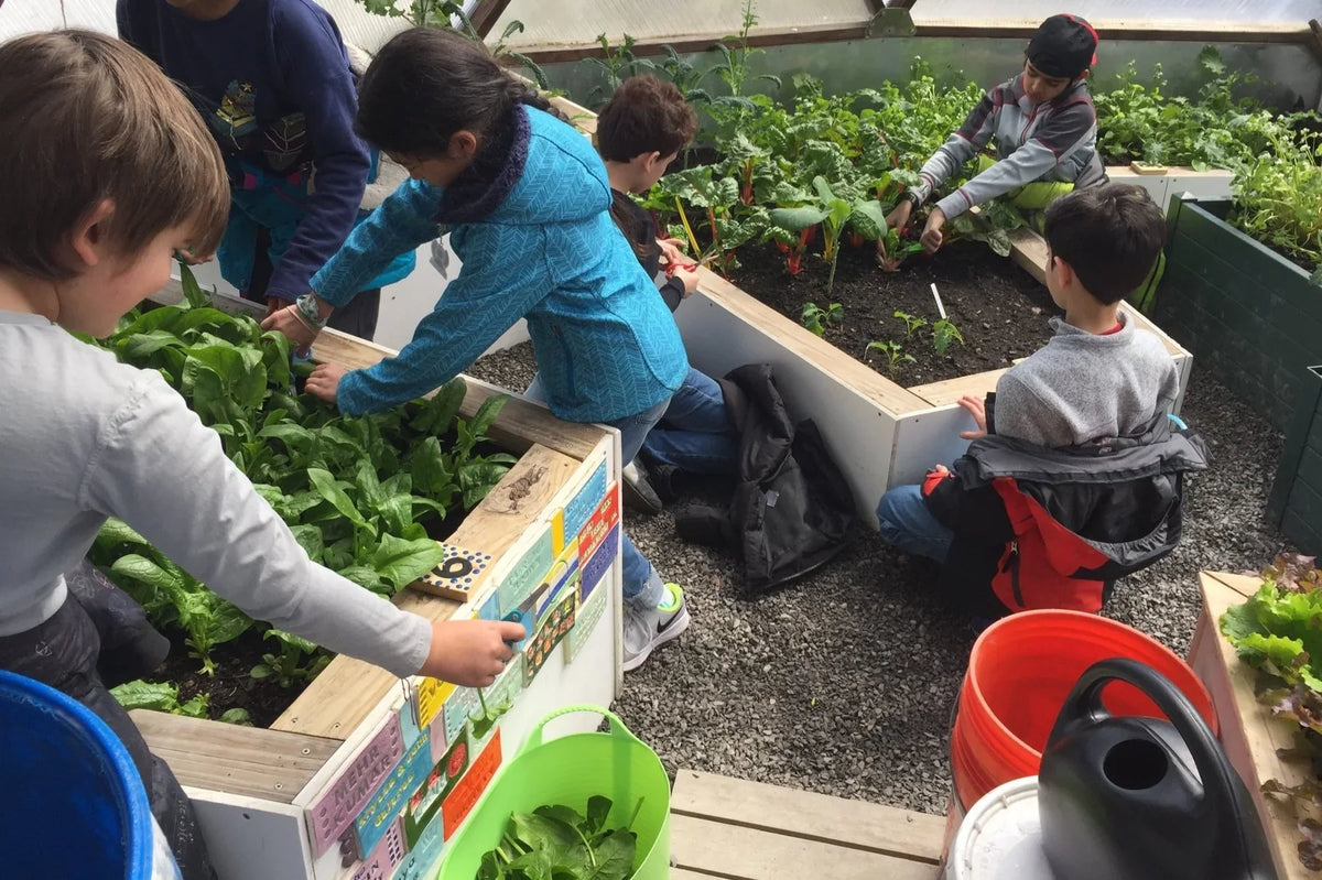 Students tending raised beds inside a Growing Dome
