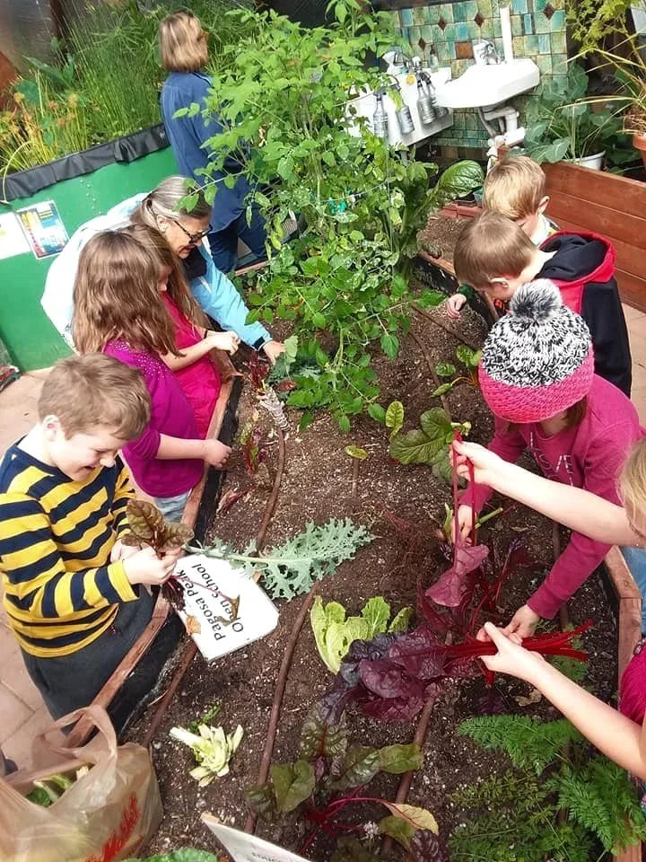 Children planting in a Growing Dome garden