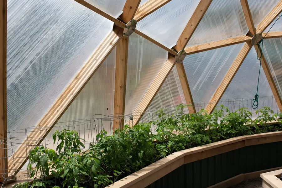 Cedar frame inside a Growing Dome with raised beds