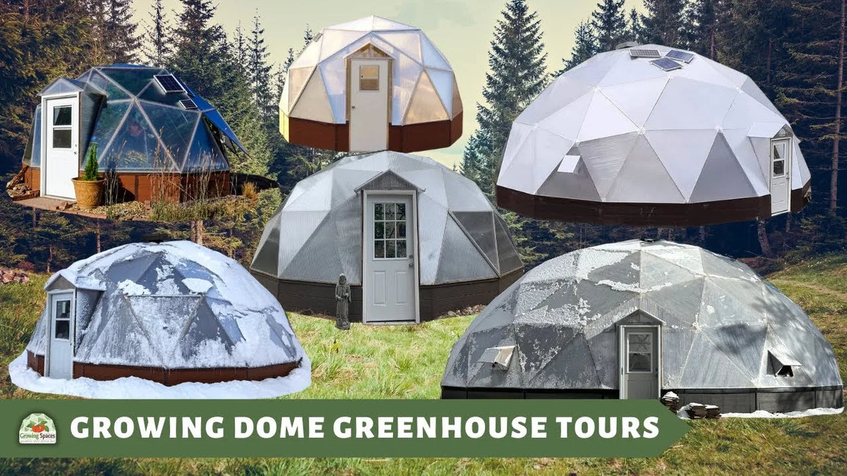 Growing Dome Video Walkthroughs