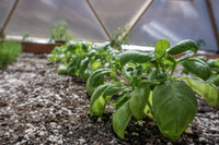 15 ft Growing Dome Geodesic Greenhouse Kit