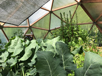 22 ft Growing Dome Geodesic Greenhouse Kit
