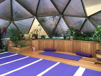 33 ft Growing Dome Geodesic Greenhouse Kit