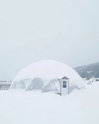 42 ft Growing Dome Geodesic Greenhouse Kit