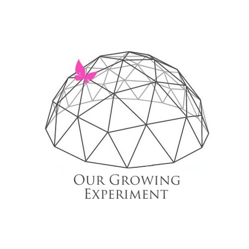 Our Growing Experiment