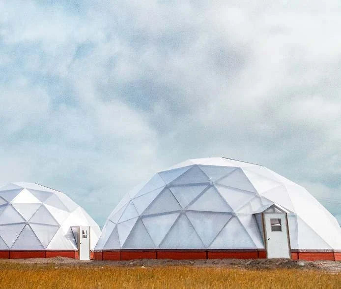 Two Growing Domes standing in a snow-covered yard