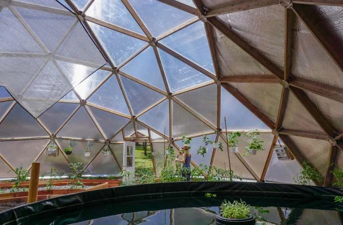 Close view of dome glazing panels above interior planting